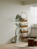 Modern living room and dining room bedroom interior scene - Thumbnail 3