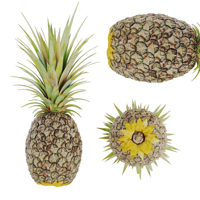 Ananas - Image 2
