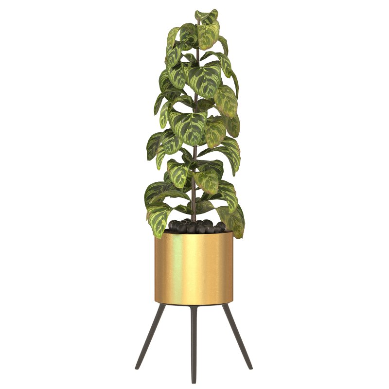 Metal Plant Set 05 - Image 2