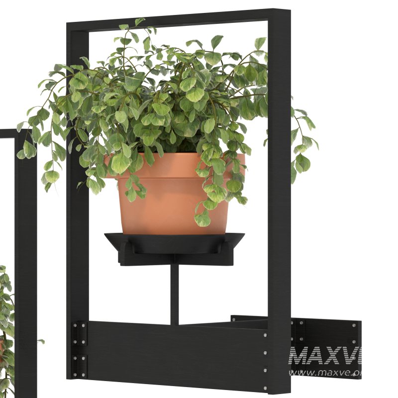 Boho Hanging Plants 04 - Image 8