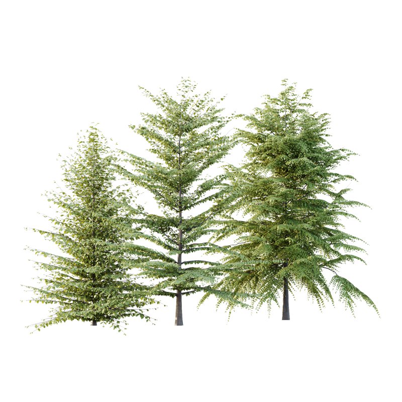 Different Trees 46 - Image 2