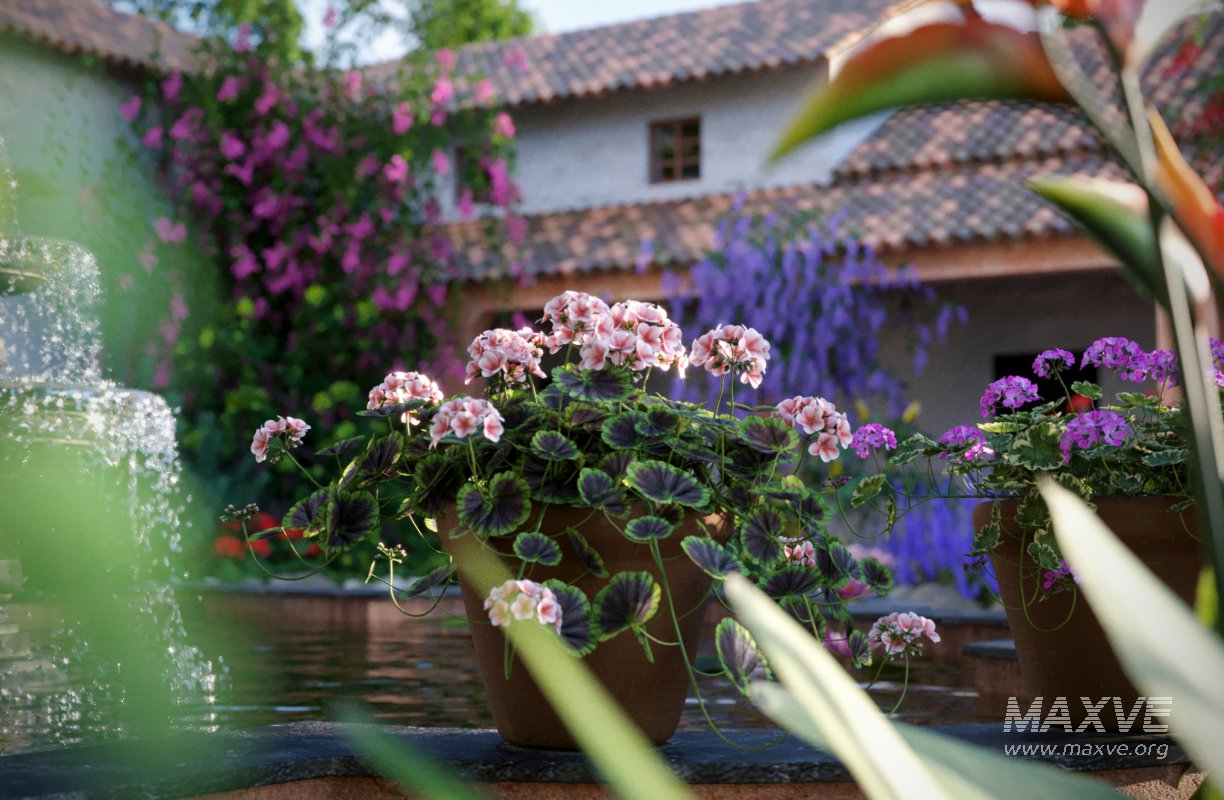 Collection 07 – Central America Garden - Image 2