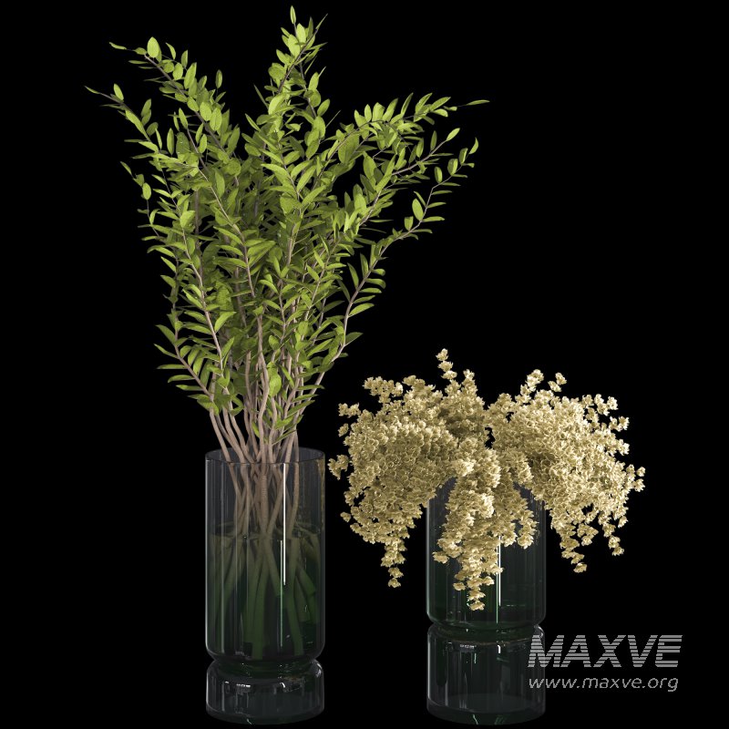 Branches with leaves in Glass Vase - Image 5