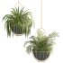 Metal Hanging Plants 05 - Thumbnail 8