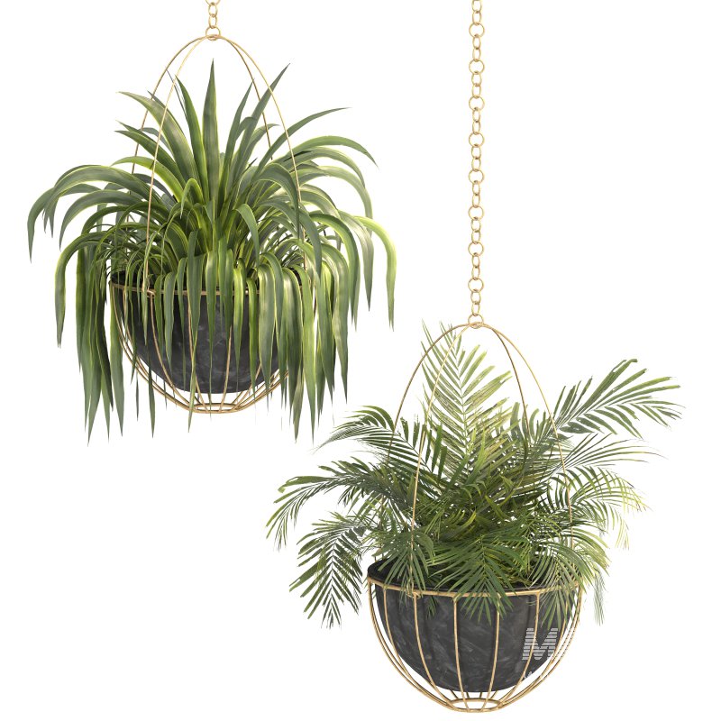 Metal Hanging Plants 05 - Image 8