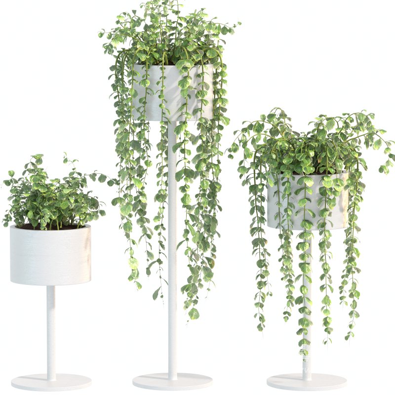 White Metal Plant Set - Image 4