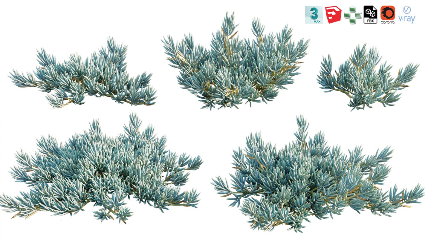 Collection 12 – Desert Garden - Image 31