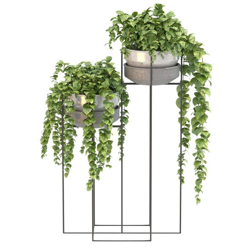 Metal Standing With Money Plant - Image 3