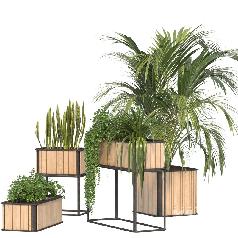 Plant Set 09 - Image 3