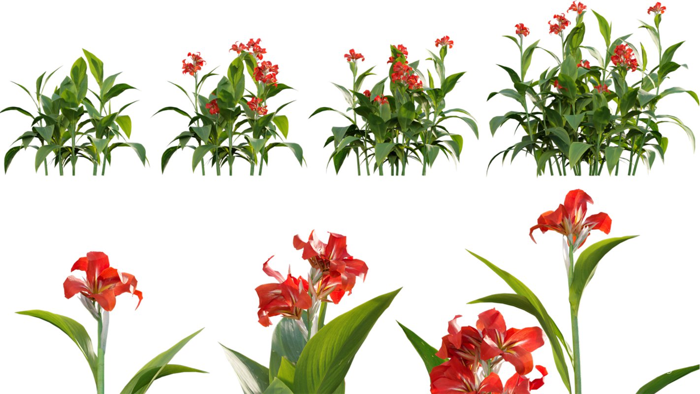 Collection 17 – Chinese garden - Image 33