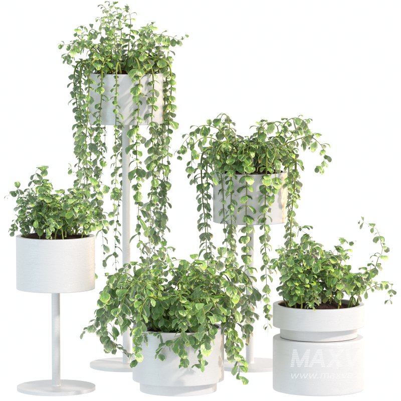 White Metal Plant Set - Image 7