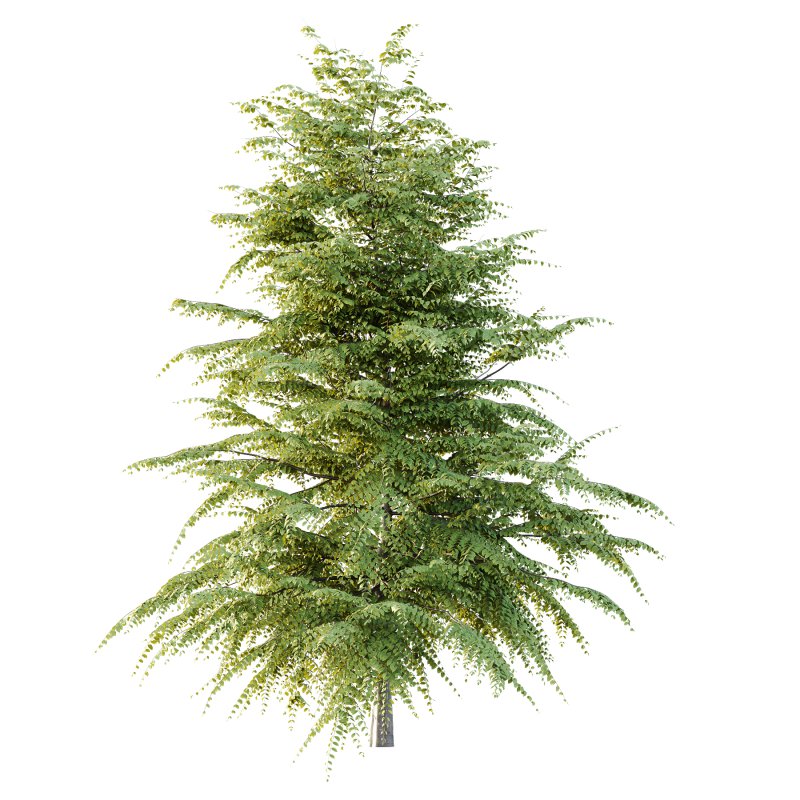 Different Trees 47 - Image 2