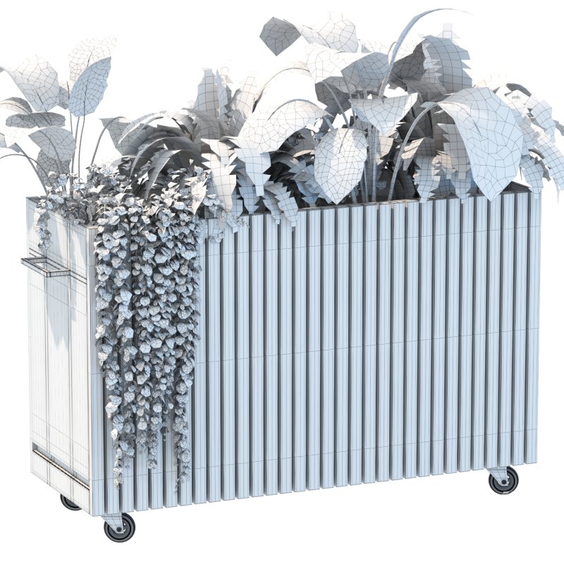 Plant Set 06 - Image 3