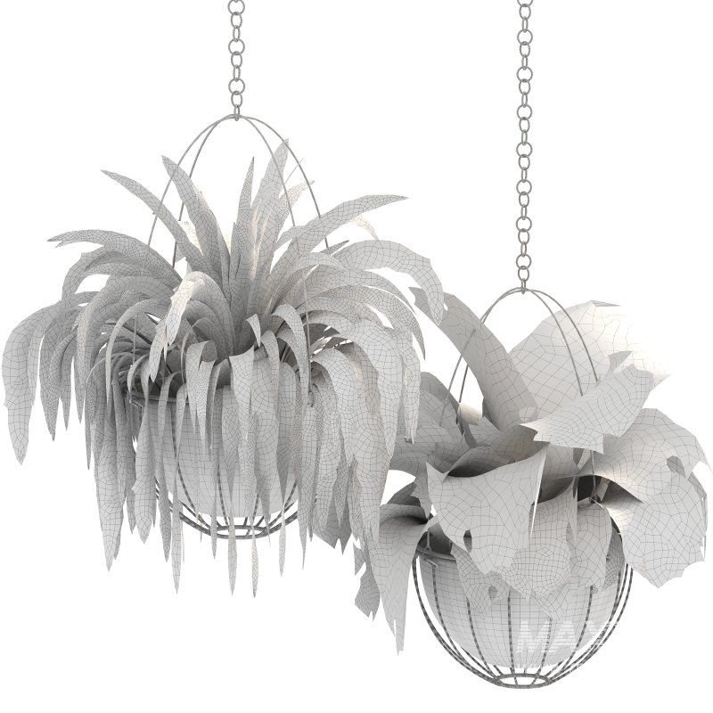 Metal Hanging Plants 05 - Image 4