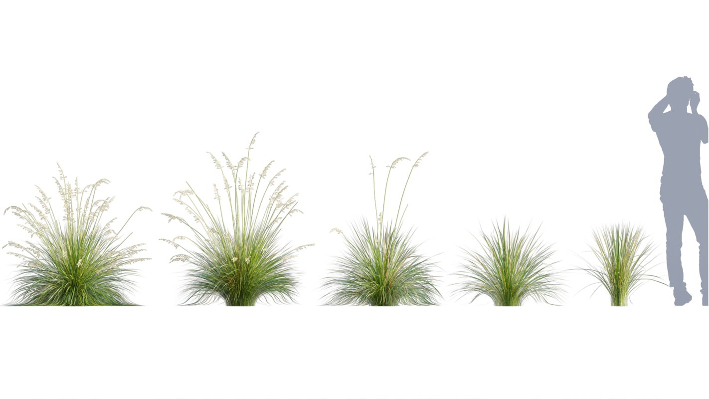 Collection 05 – Flower Garden - Image 11