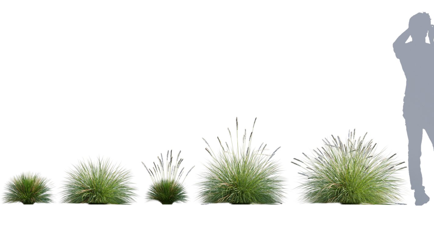 Collection 05 – Flower Garden - Image 10