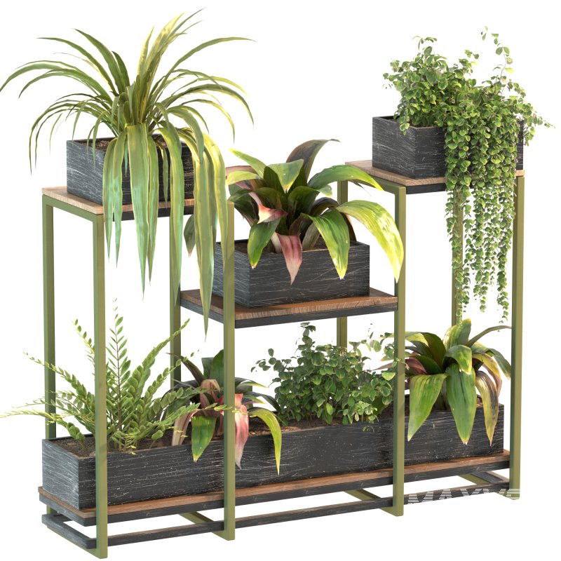 Plant Set 08 - Image 4