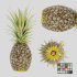 Ananas - Thumbnail 1