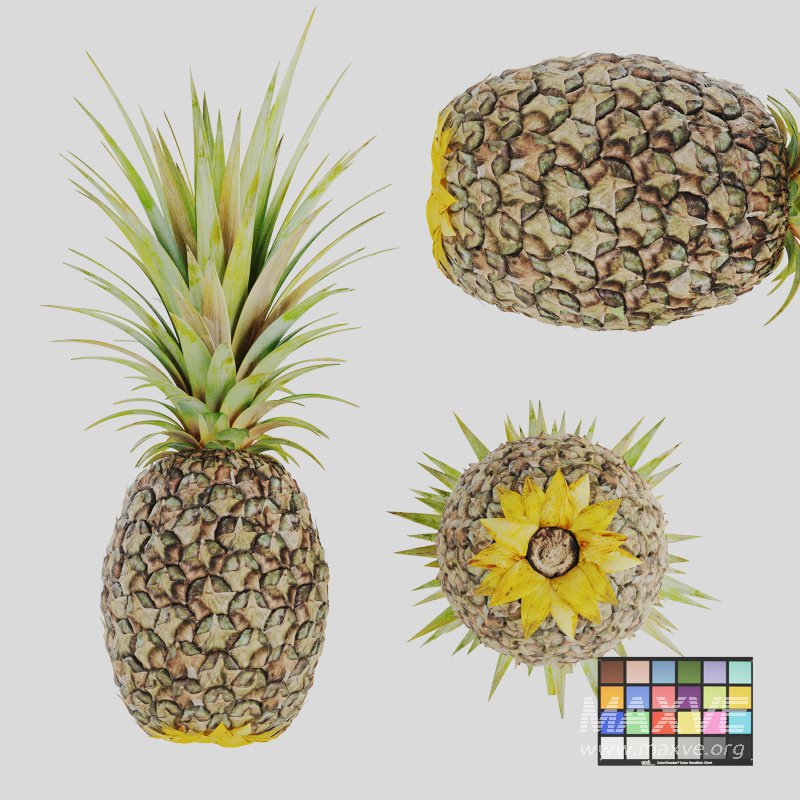 Ananas - Image 1