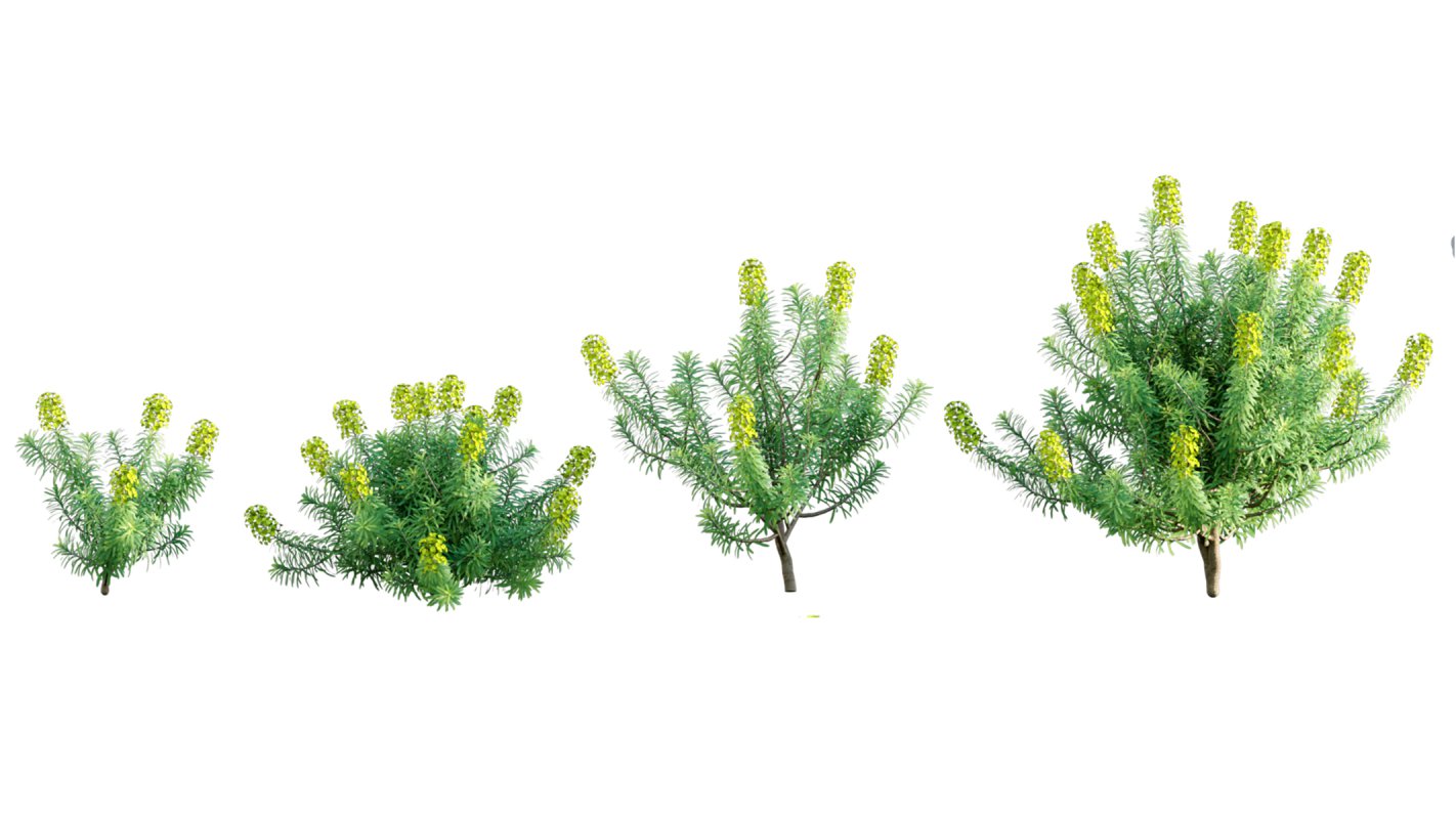 Collection 02 – Mediterrannean Garden - Image 3