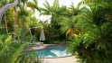 Collection 10 – Palm garden - Thumbnail 2