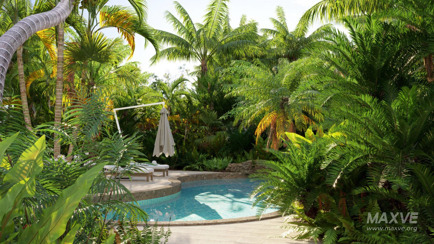 Collection 10 – Palm garden - Image 2