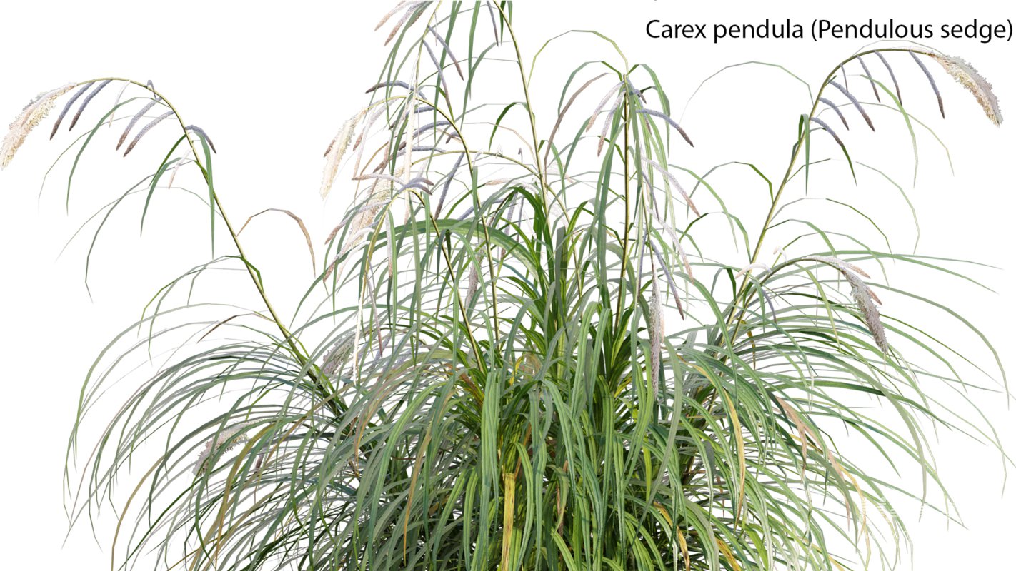 Collection 14 – English Garden - Image 19