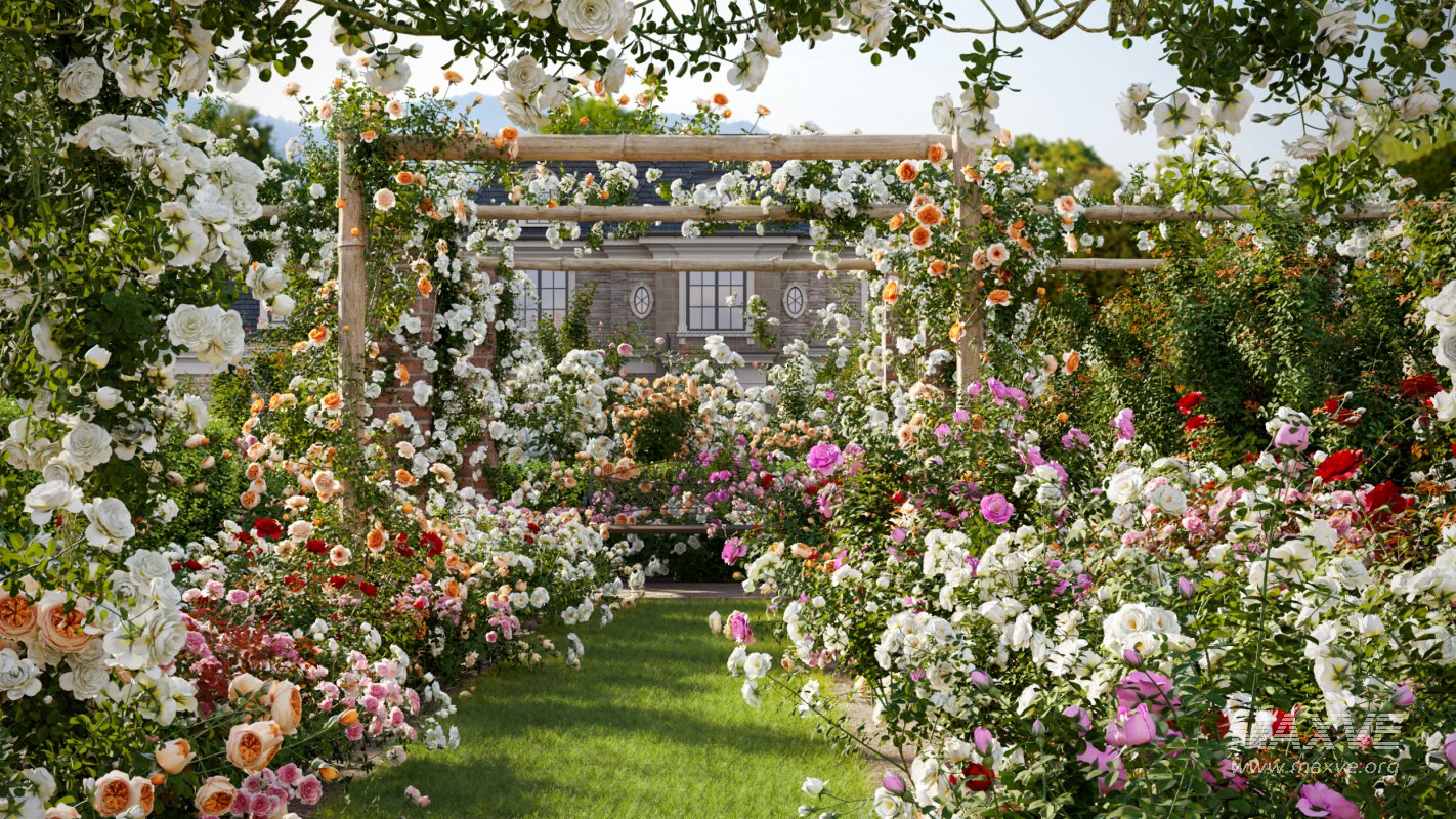 Collection 08 – Rose Garden - Image 2