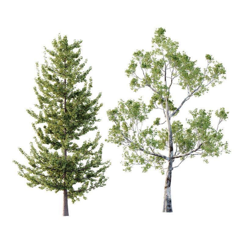 Different Trees 45 - Image 6