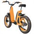 BMX1 Electric Bicycle - Thumbnail 2