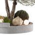 Bohemian Olive Tree Garden - Thumbnail 5