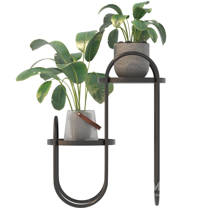 Metal Plant Set 03 - Image 3