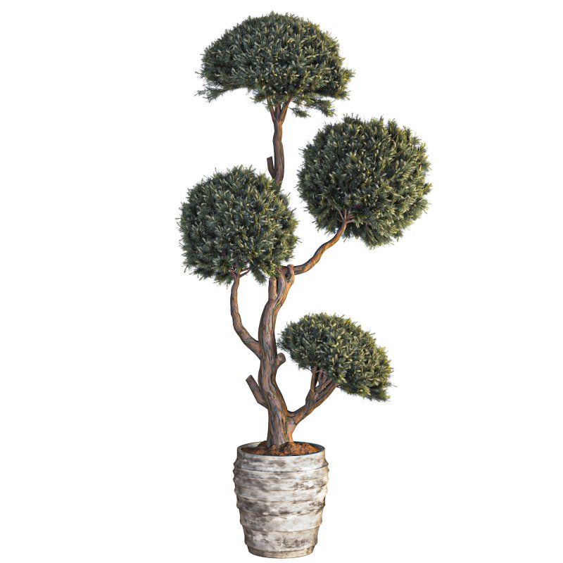Indoor Topiary Ball Tree - Image 2