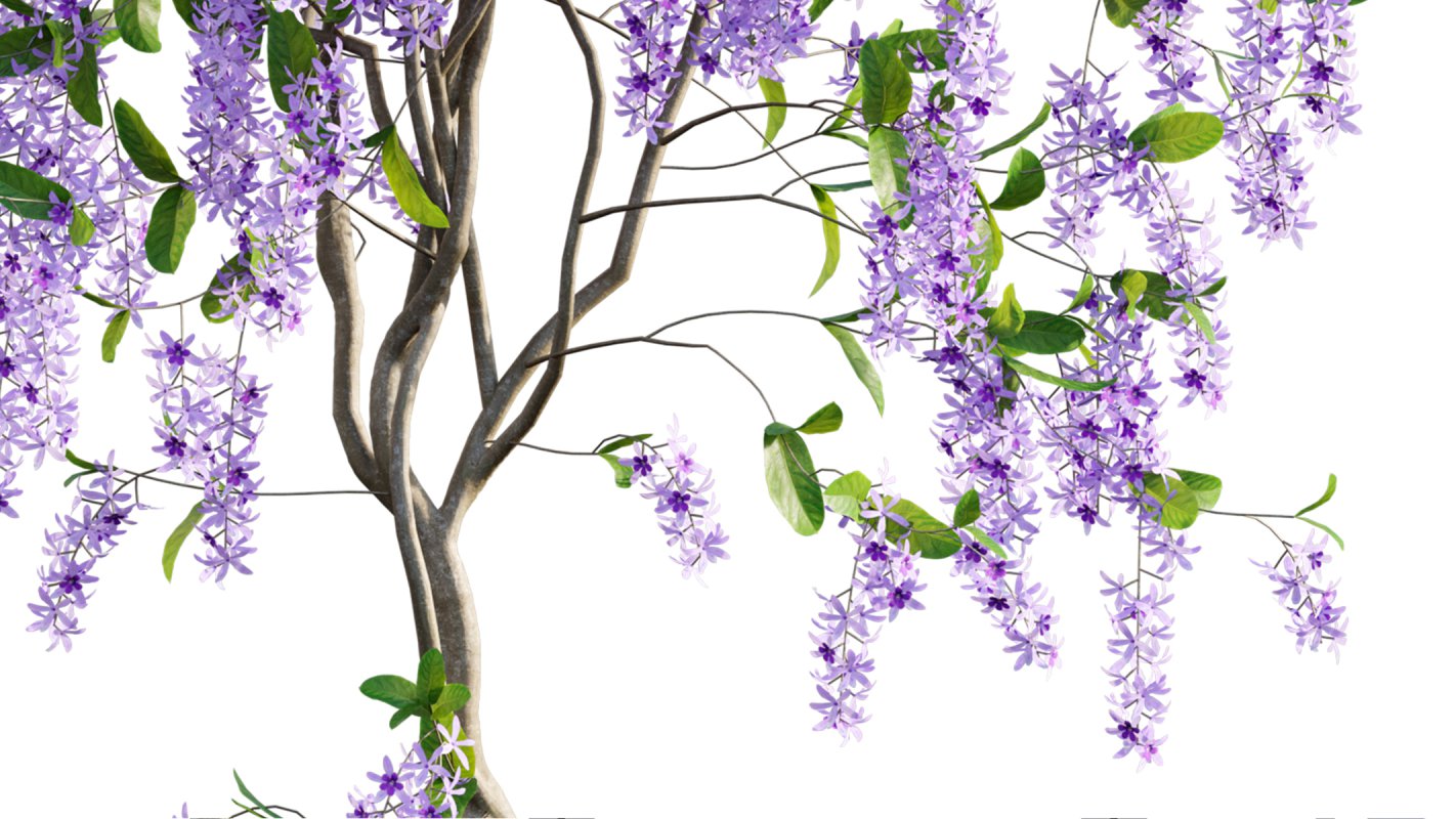 Collection 07 – Central America Garden - Image 30