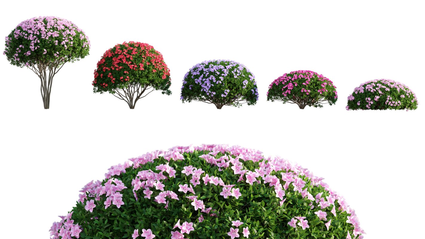 Collection 06 – Japanese Garden - Image 7