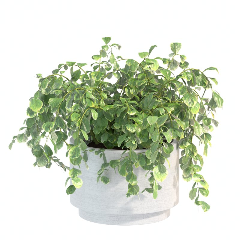 White Metal Plant Set - Image 6