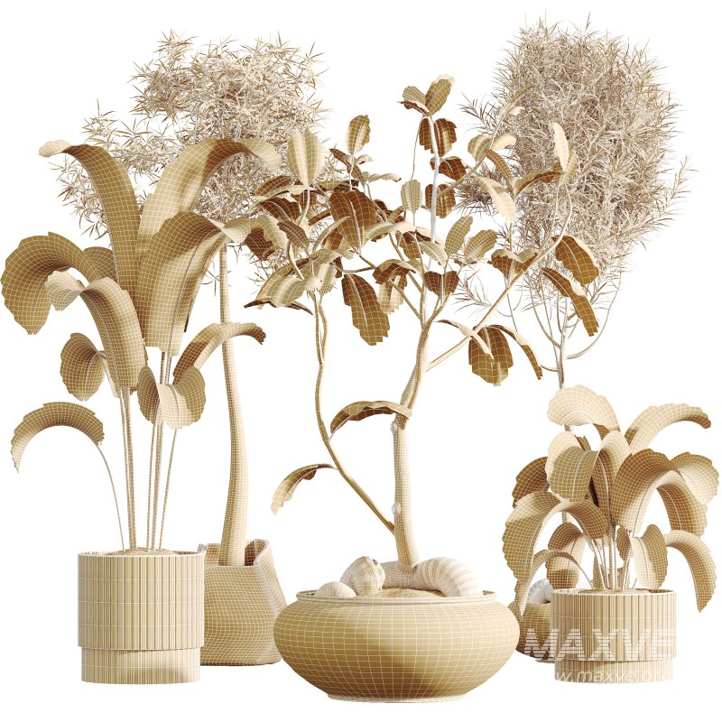 AV Indoor Plants Set 320 Banana Strelitzia Nicolai and Ficus Dracaena Marginata - Image 13