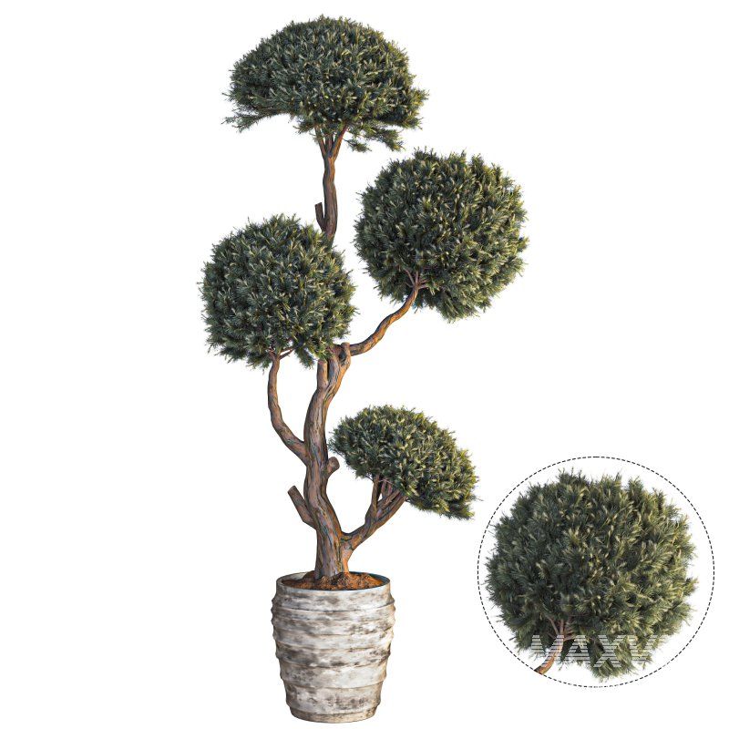 Indoor Topiary Ball Tree - Image 1