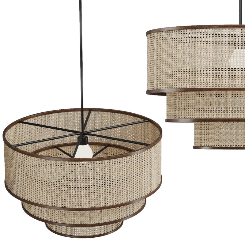 Fern Chandelier Natural - Image 6