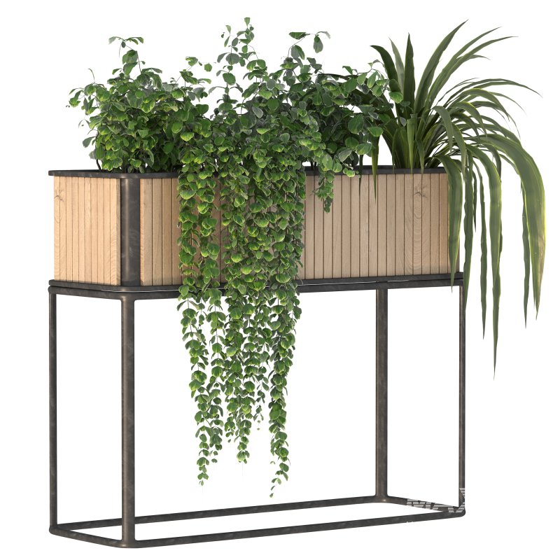 Plant Set 09 - Image 7