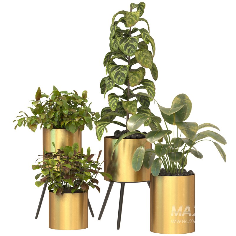 Metal Plant Set 05 - Image 6