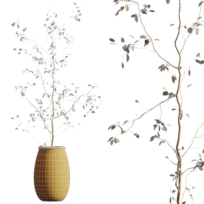 AV Indoor Plants Set 312 Japandi Decorative Minimalism Ficus Dracaena Marginata - Image 13