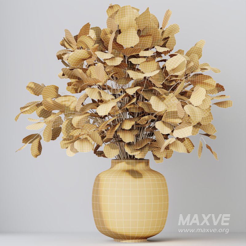 AV Indoor Plants Set 343 Eucalyptus Bouquet and Olive and Ficus Dracaena and Sansevieria - Image 9