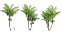 Collection 10 – Palm garden - Thumbnail 9