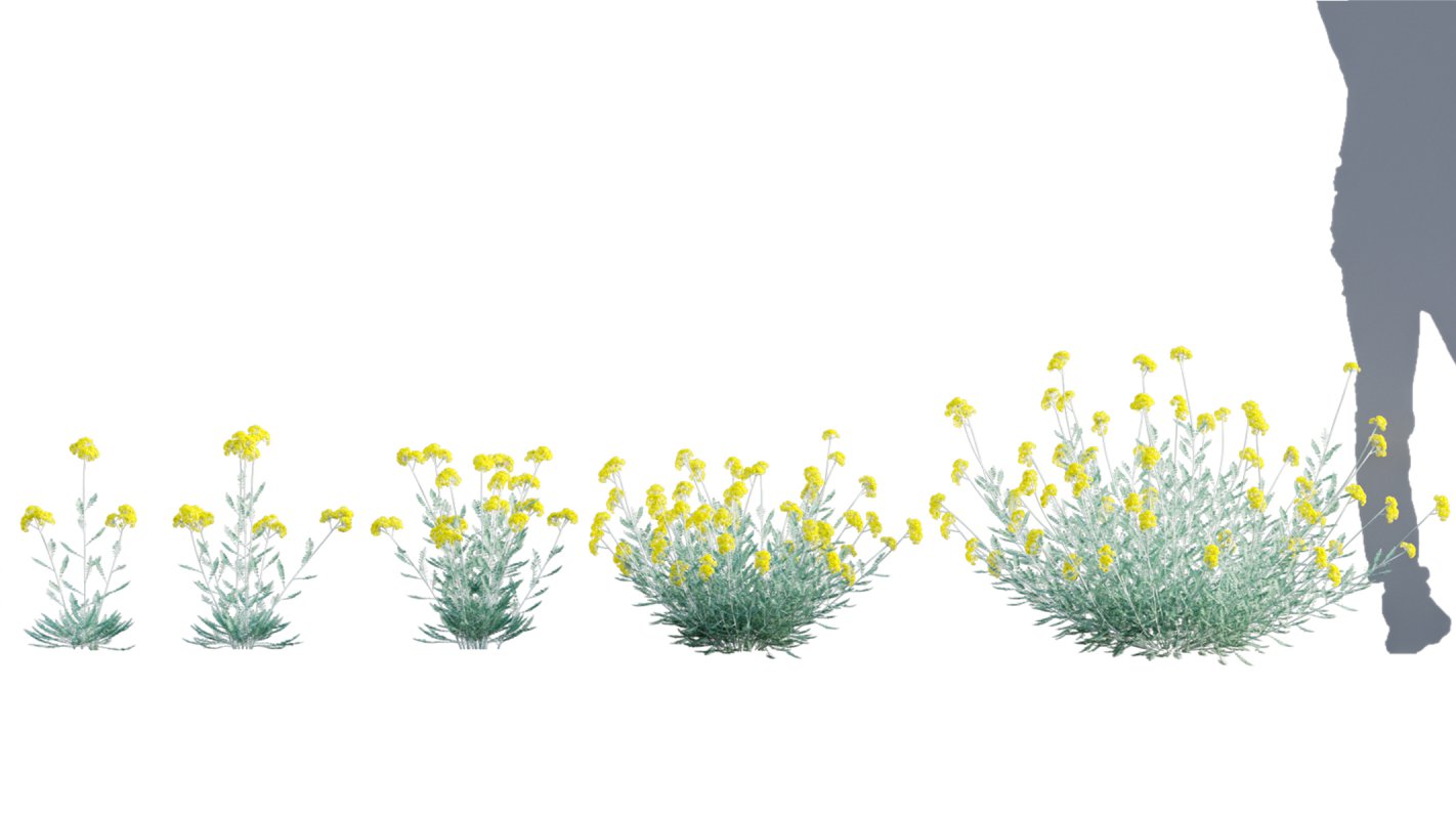 Collection 05 – Flower Garden - Image 5