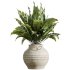 AV Indoor Plants Set 314 Spathiphyllum Wallisii and Cyara Areca Palm and Euphorbia Drupifera - Thumbnail 4