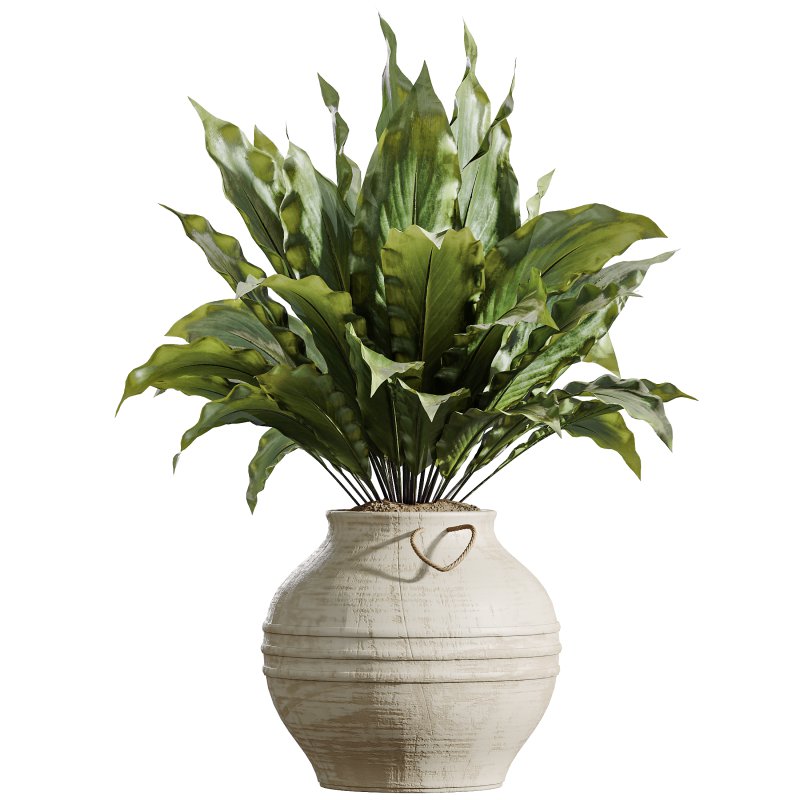AV Indoor Plants Set 314 Spathiphyllum Wallisii and Cyara Areca Palm and Euphorbia Drupifera - Image 4