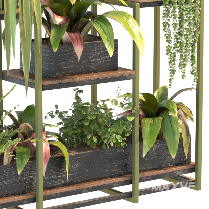 Plant Set 08 - Image 7