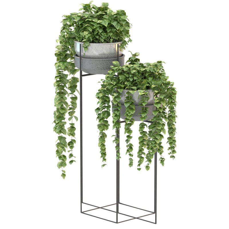Metal Standing With Money Plant - Image 7