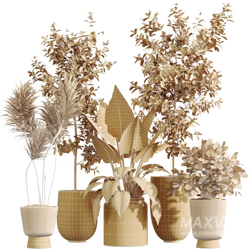 AV Indoor Plants Set 346 Alocasia Wentii and Olive Eucalyptus and Yucca Palm and Foliage Dollar - Image 7